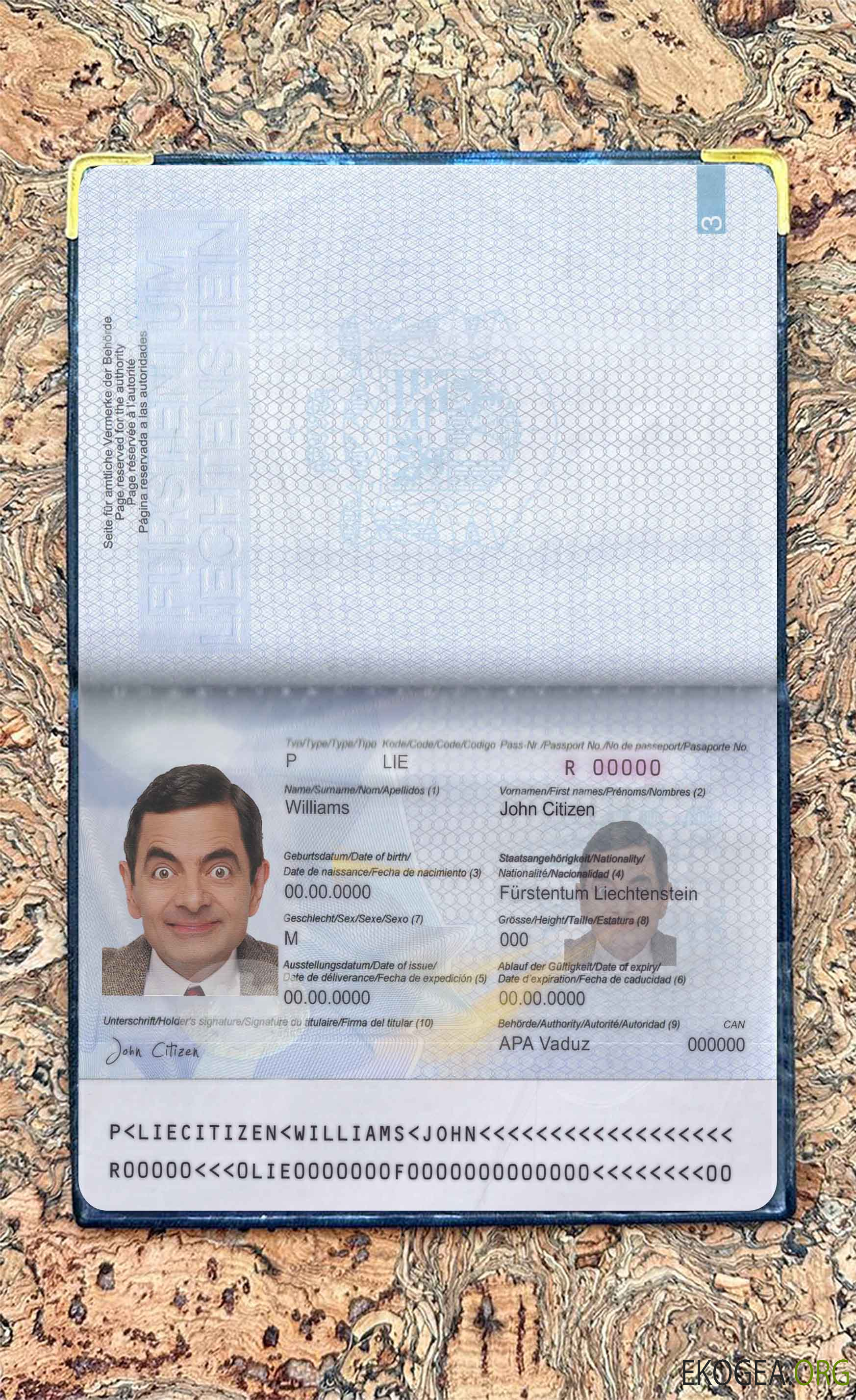 Look photo du col du Liechtenstein